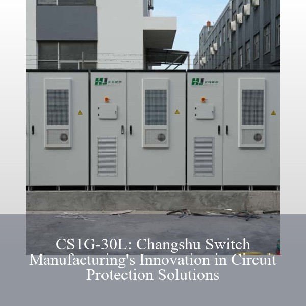 CS1G-30L: Changshu Switch Manufacturing's Innovation in Circuit Protection Solutions